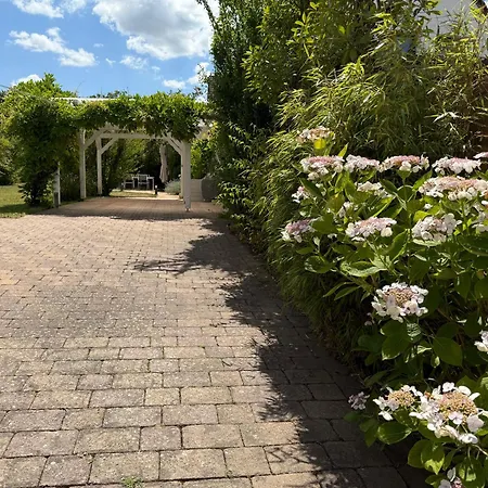 Wein & Wald Mit Gartensauna *